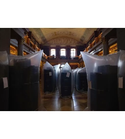 Rovarfertőzések és kezelésük